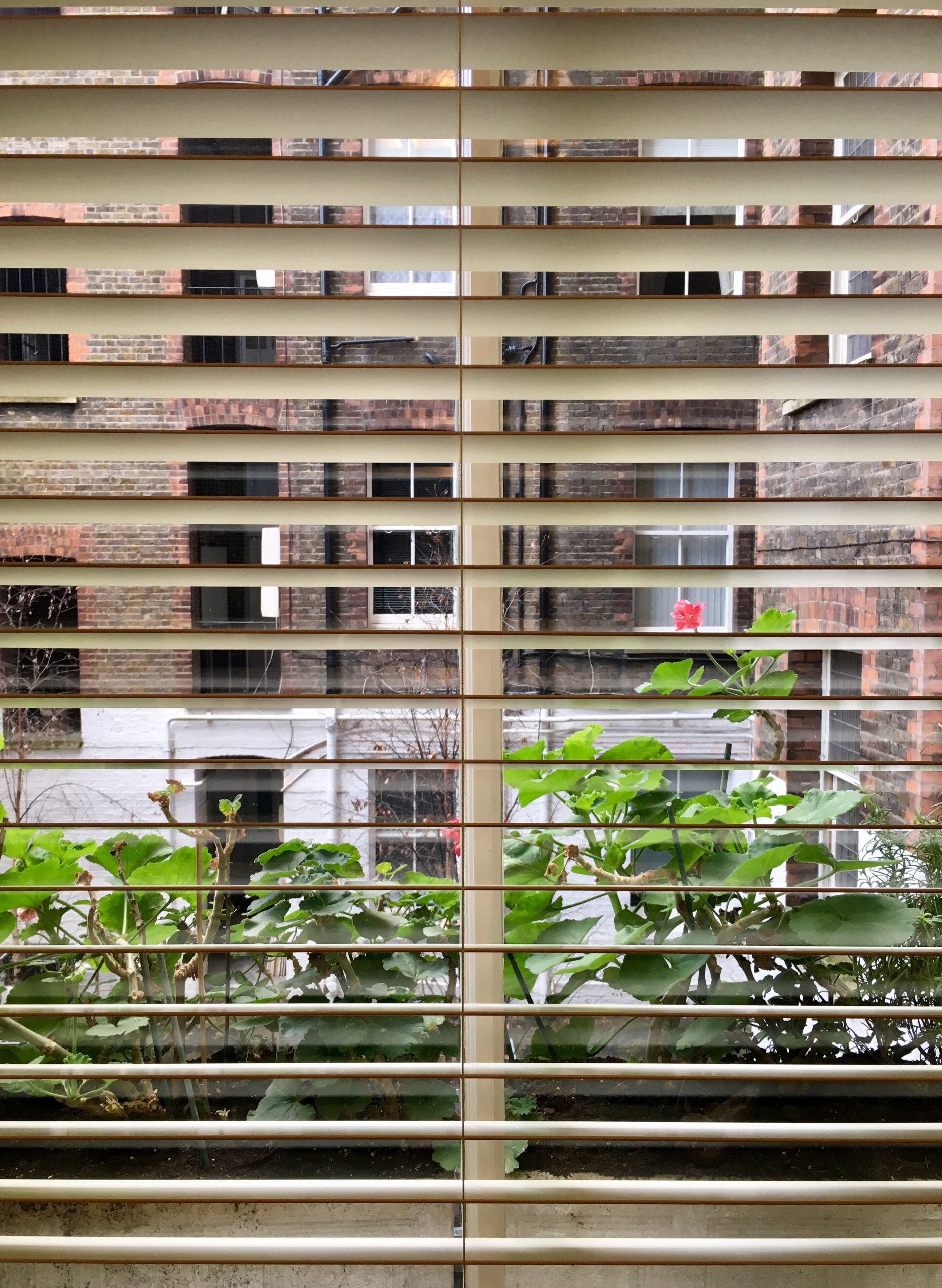 Outdoor Blinds Adelaide